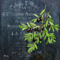 Ervas Provençais VI — Brent, Paul
