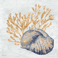 Conchas Cintilantes IV Índigo — Brent, Paul