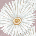 Flor Floral III Rosa — Brent, Paul