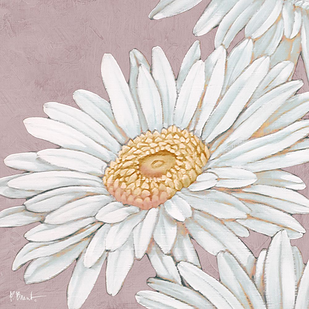 Flor Floral IV Rosa — Brent, Paul