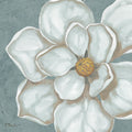 Florescer V — Brent, Paul