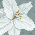 Florescer VI — Brent, Paul