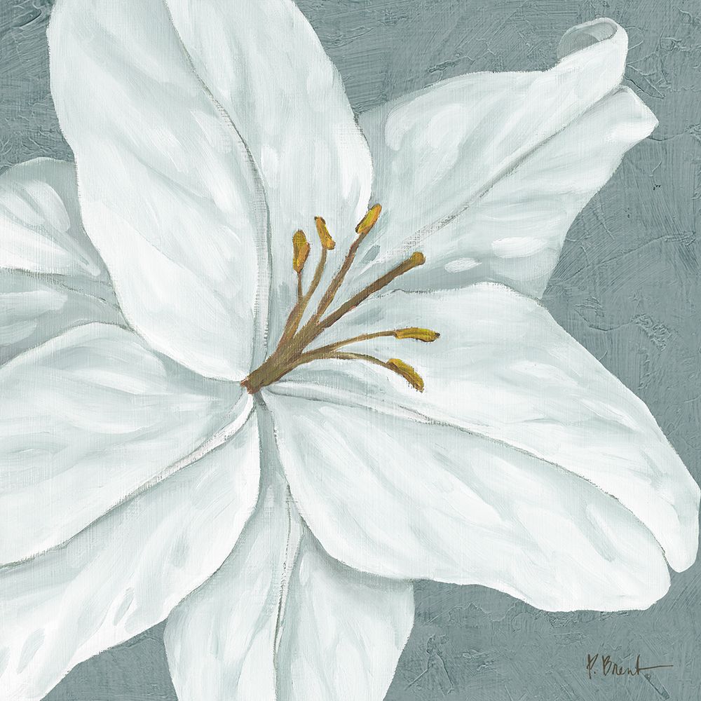 Florescer VI — Brent, Paul