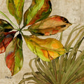 Folhas de Palmdale II — Brent, Paul