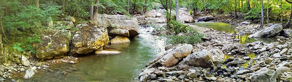 Pocket Wilderness, Dayton III — Rachel Lee