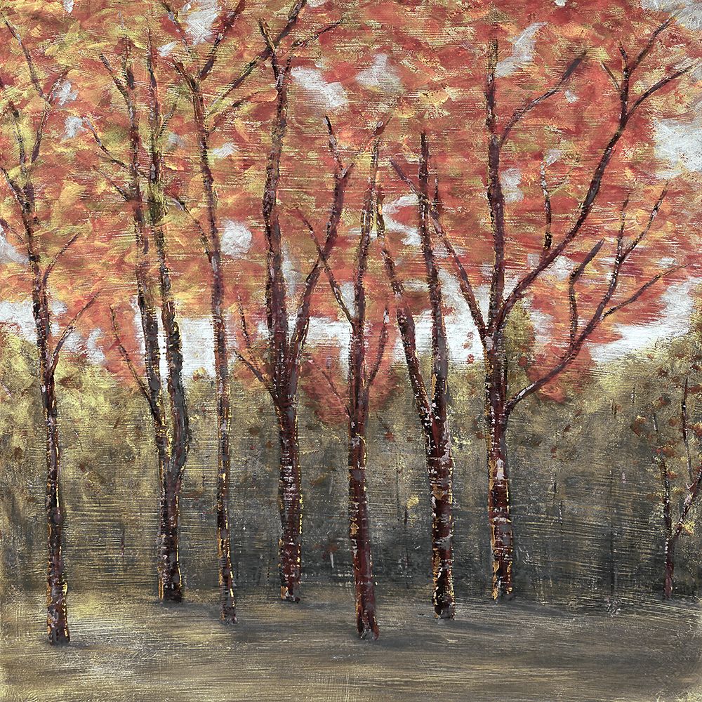 Árvores de Outono — Screendoor