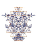 Geometria da Pradaria I — NM Studio