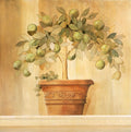 Topiaria de Limoeiro — Hall, Hampton