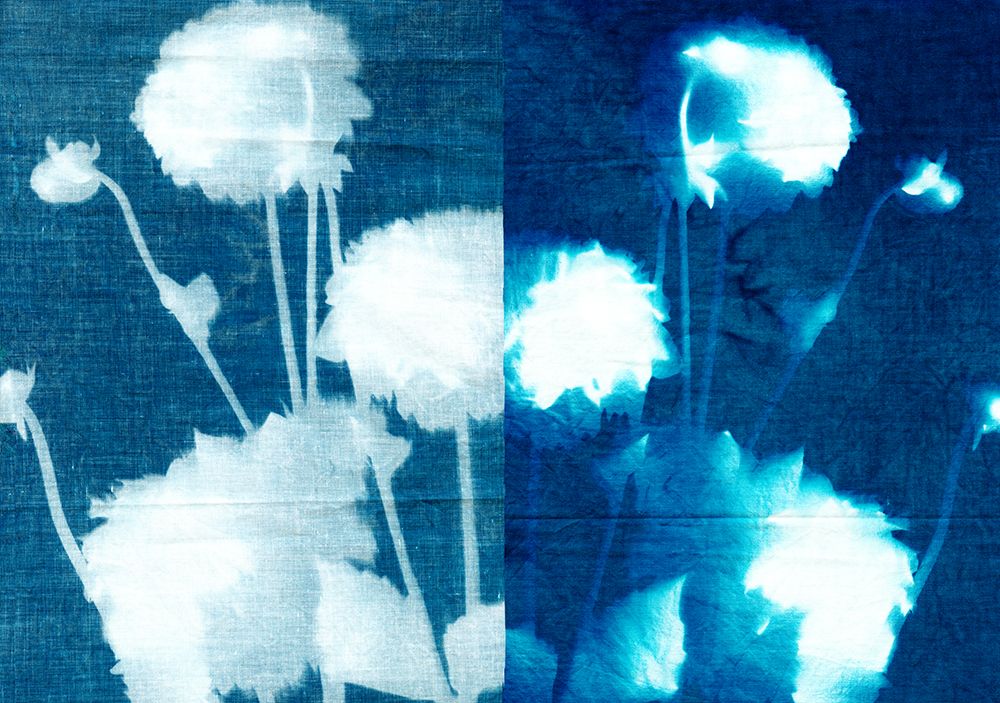 Cianotipia K — SEA Studio