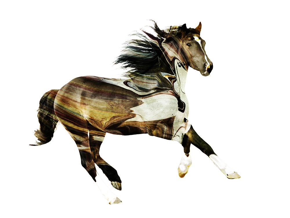 Cavalos Pintados E — Pastars, Cynthia