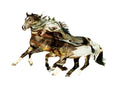 Cavalos Pintados F — Pastars, Cynthia