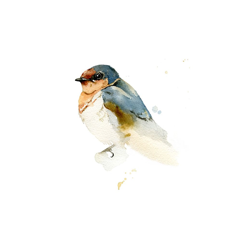Pássaro Aquarela — NM Studio