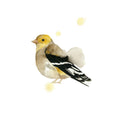 Pássaro em Aquarela B — NM Studio