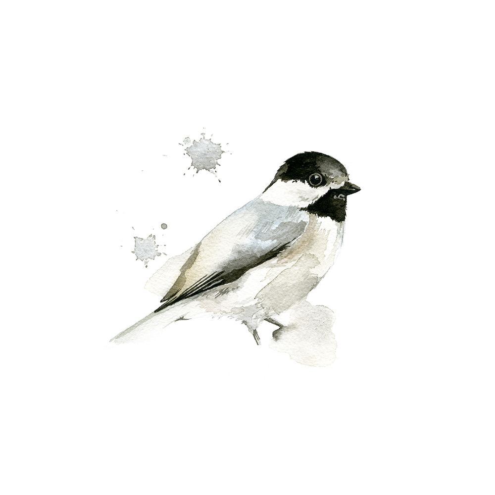 Pássaro em Aquarela C — NM Studio