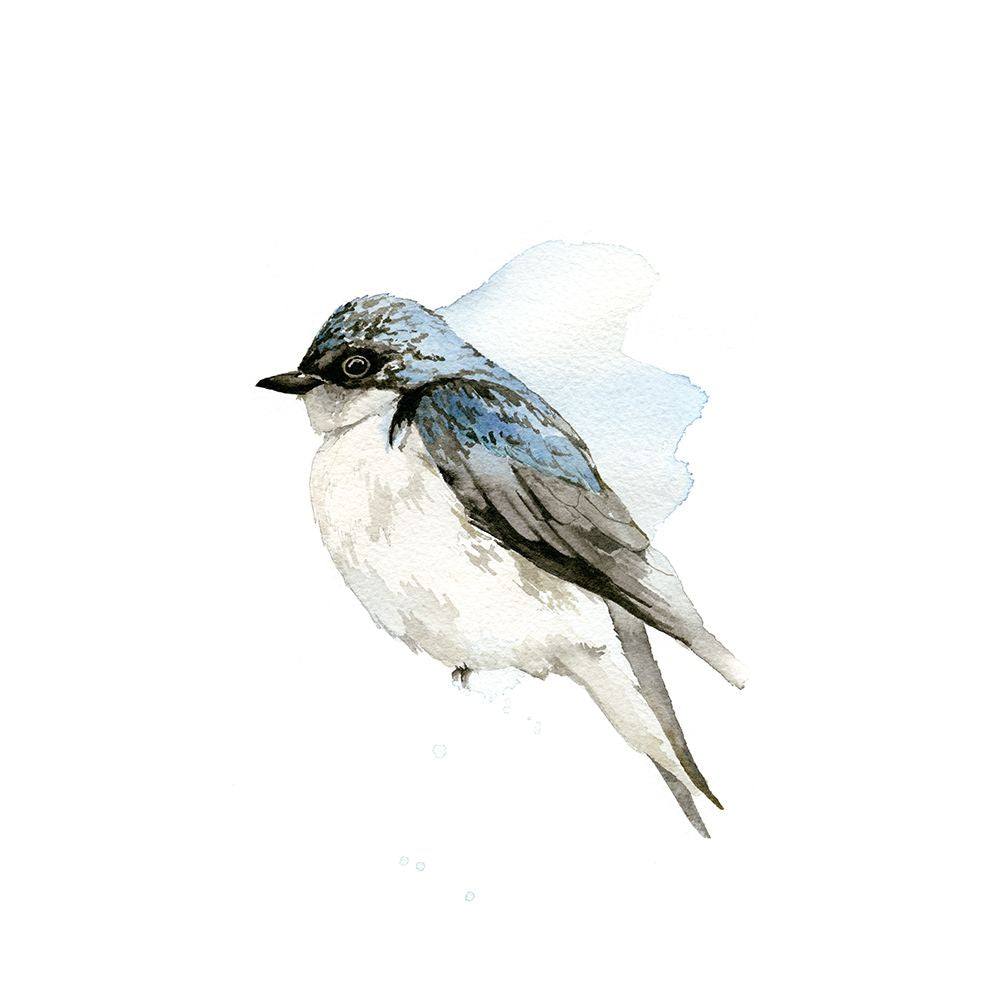 Pássaro em Aquarela D — NM Studio