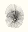 Milha 21 — Gabe Fonorow