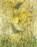 Entre Aqui — Farmer, Mary