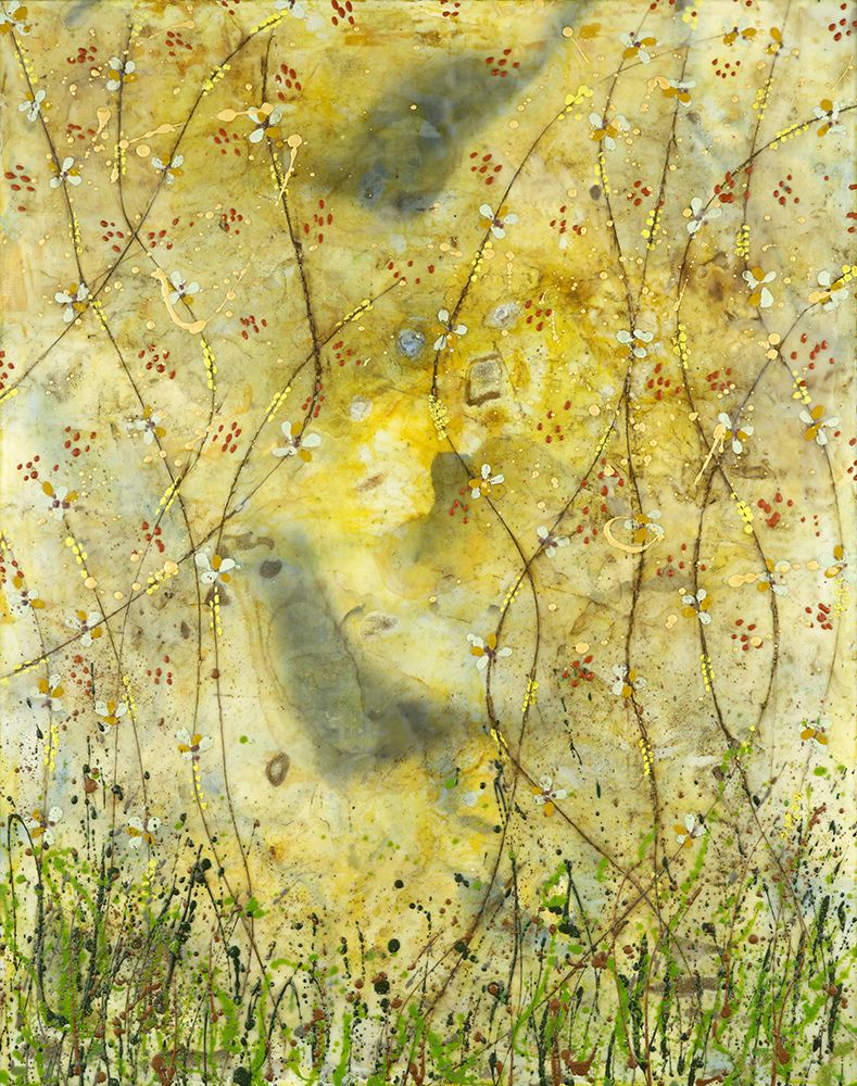Entre Aqui — Farmer, Mary