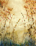 Na Villa — Farmer, Mary