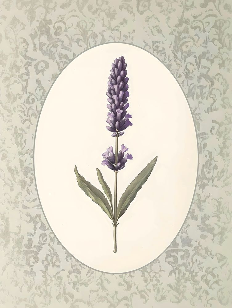Ramo de Lavanda — fazenda vintage — Arlington Prints
