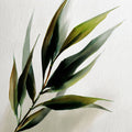 Folhas de Bambu 1 — Kelly, Gina