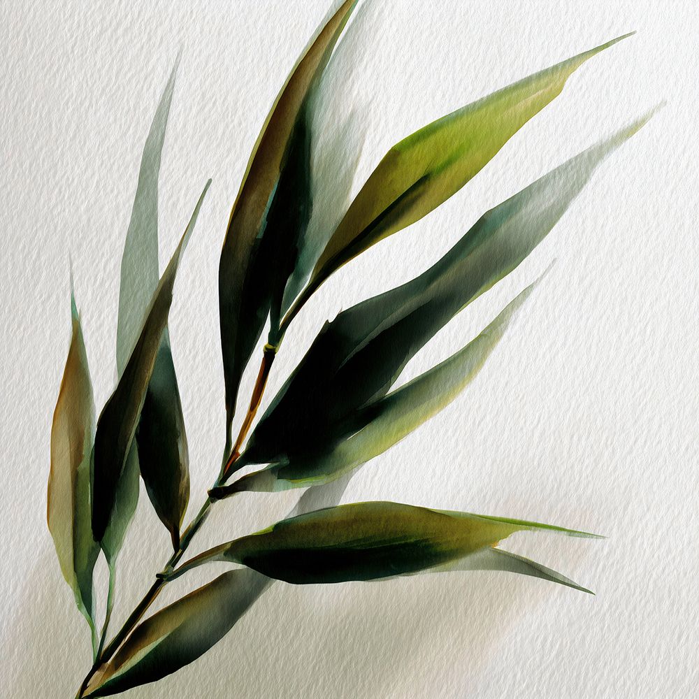 Folhas de Bambu 1 — Kelly, Gina