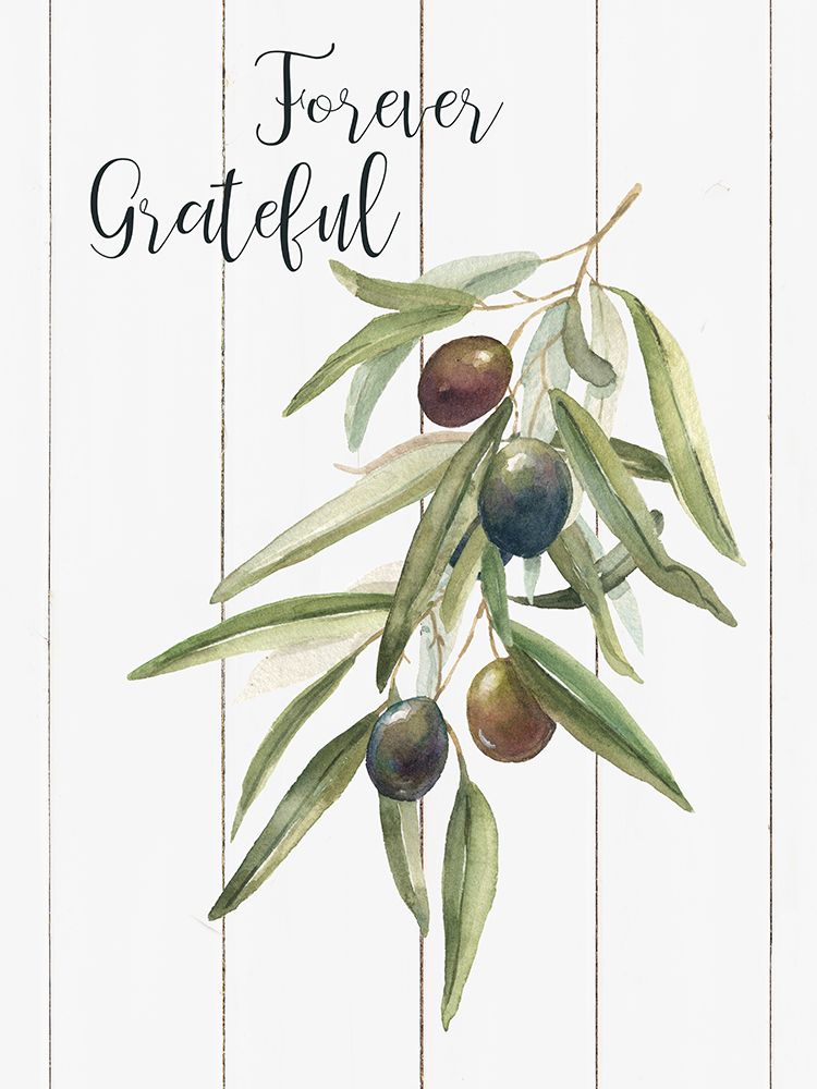 Eternamente Grata — Livi and Finn