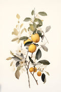 Fruta Botânica 1 — Petals Prints Design