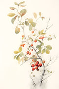 Fruta Botânica 2 — Petals Prints Design