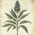Azul Botânico — Petals Print Design