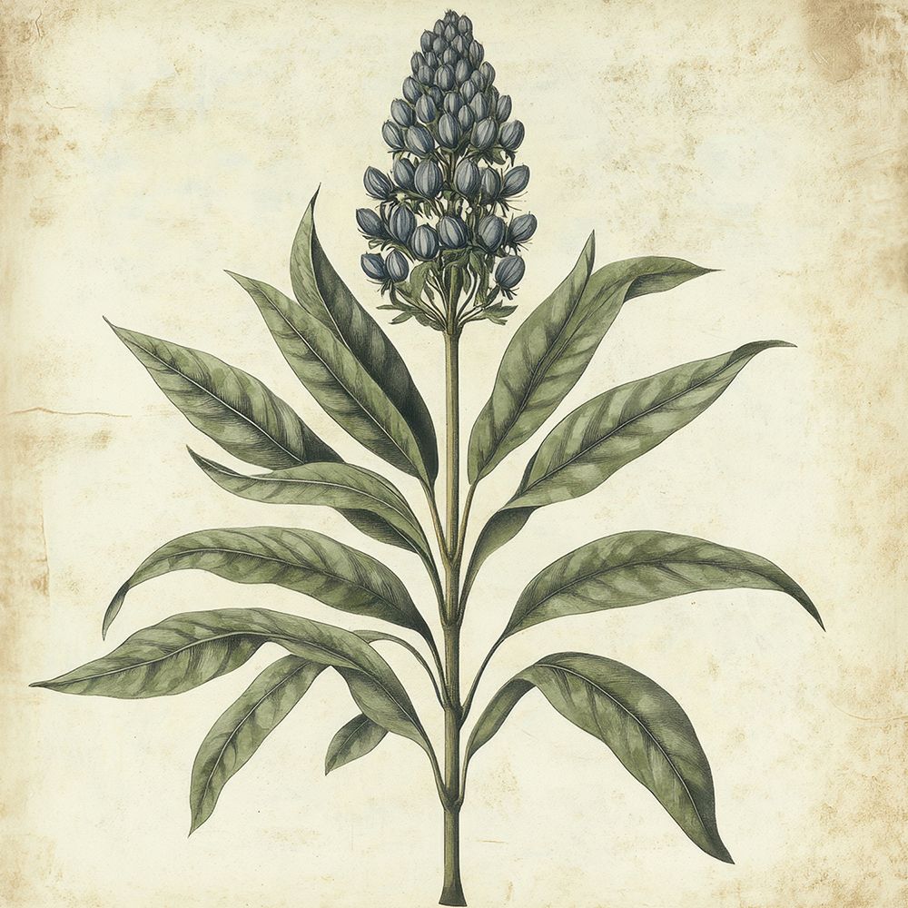 Azul Botânico — Petals Print Design