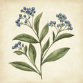 Botões Azuis — Petals Print Design