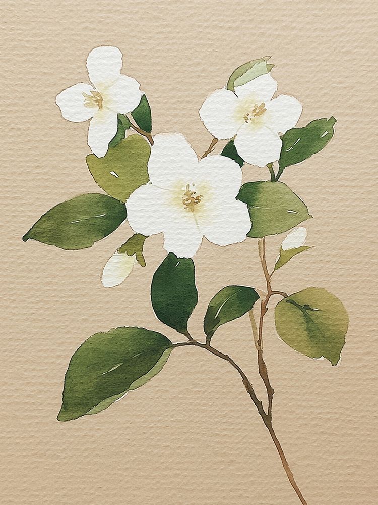 Floral Aquarela em Tons Neutros I — Petals Print Design