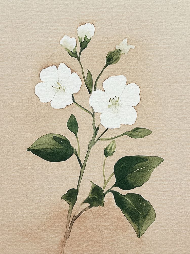 Floral Aquarela em Tons Neutros II — Petals Print Design