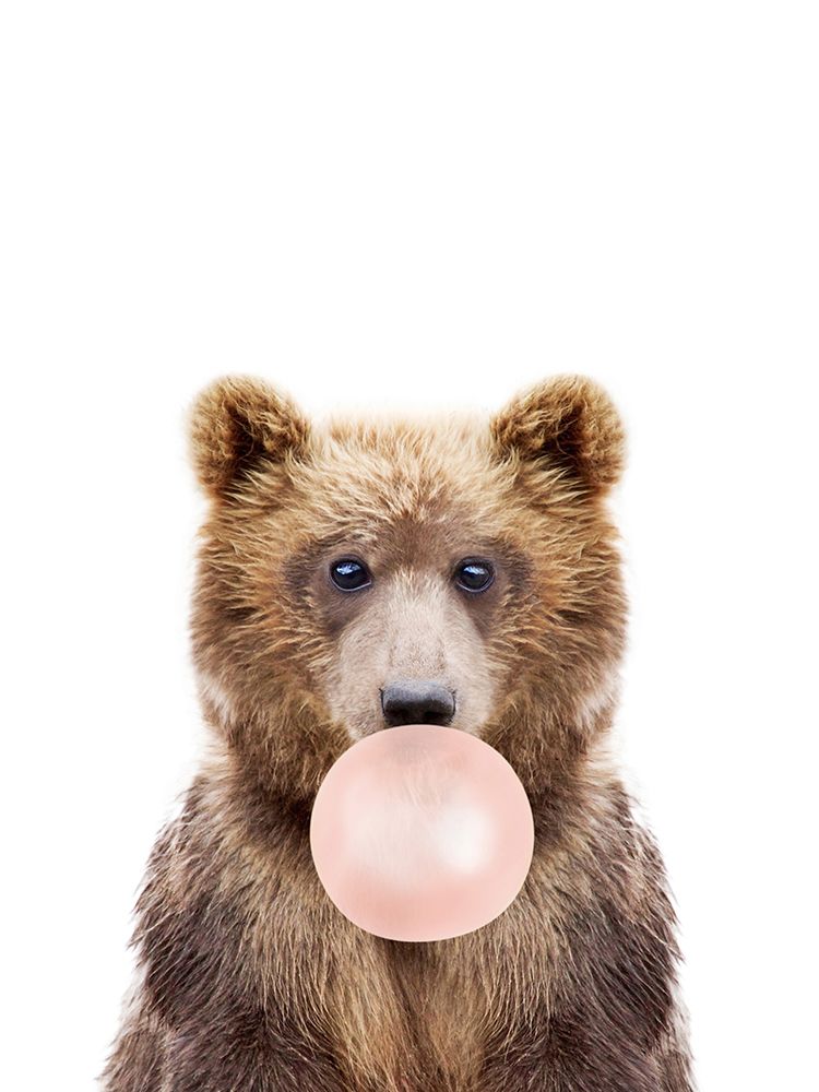 Urso Cor de Chiclete — Sisi and Seb