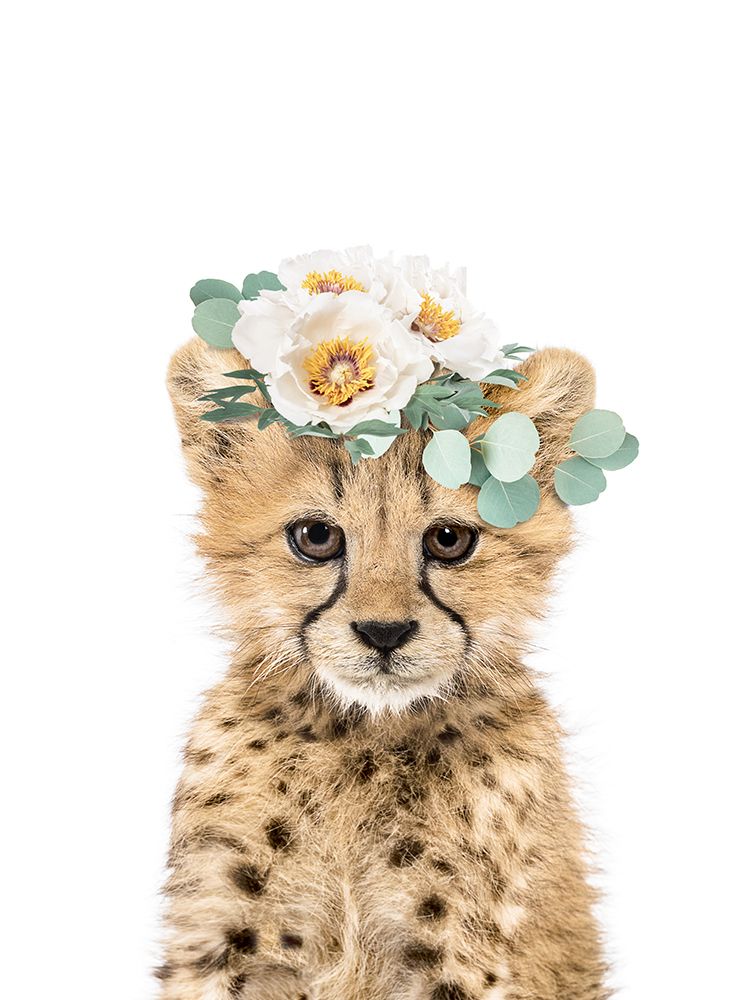 Chita com Coroa de Flores — Sisi and Seb