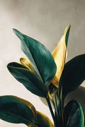 Folhas Tropicais em Verde e Ouro — botânica sobre creme — Harmony Inhouse Artist