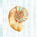 Andarilho da Praia sobre Azul IV — Berrenson, Sara