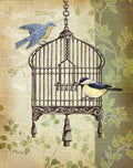 Gaiola Botânica II — Brent, Paul