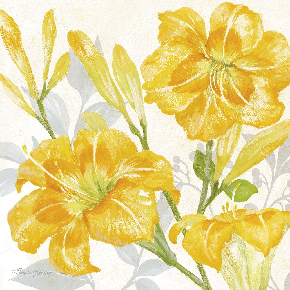 Jardim de Hemerocales II — Gladding, Pamela