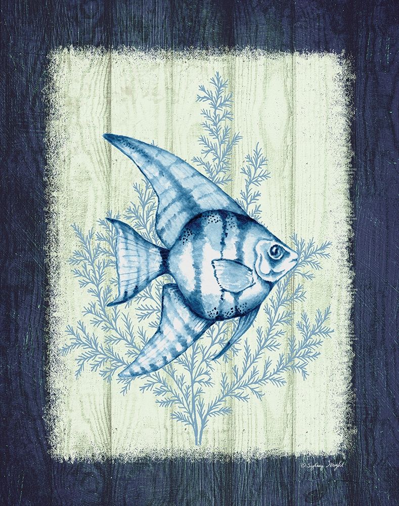 Peixe-Anjo — Wright, Sydney