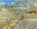 Paisagem em Saint-Rémy — Campo Fechado — Vincent Van Gogh