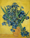 Irises - Vincent van Gogh — Van Gogh, Vincent