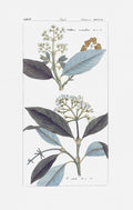 Leaves in Blue I — Giclee Studio