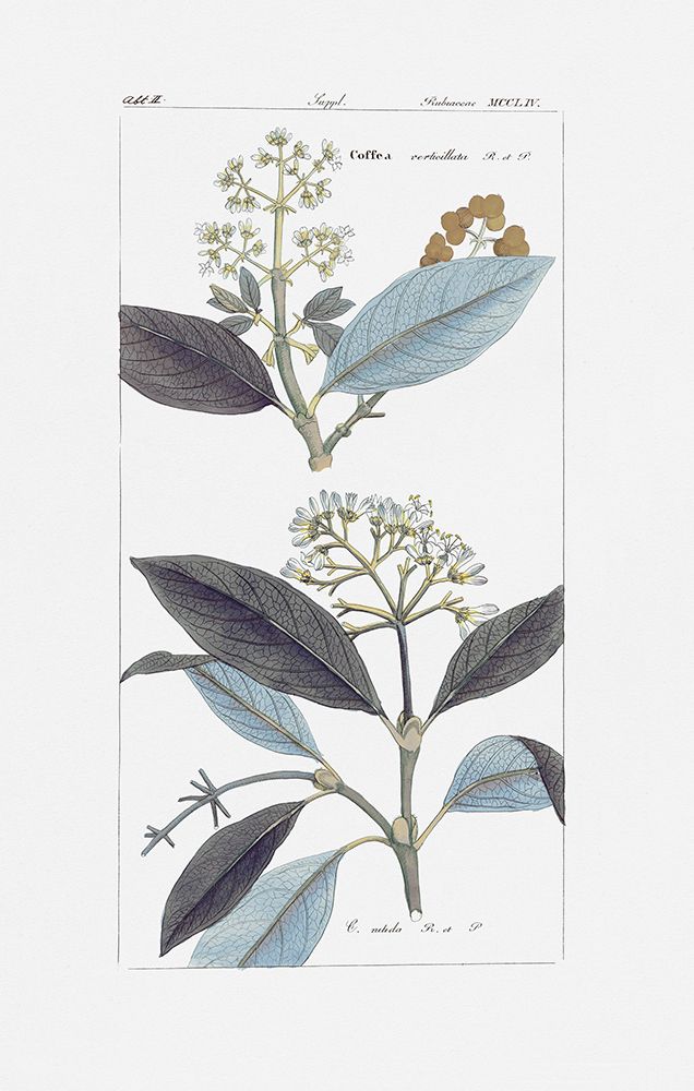 Leaves in Blue I — Giclee Studio