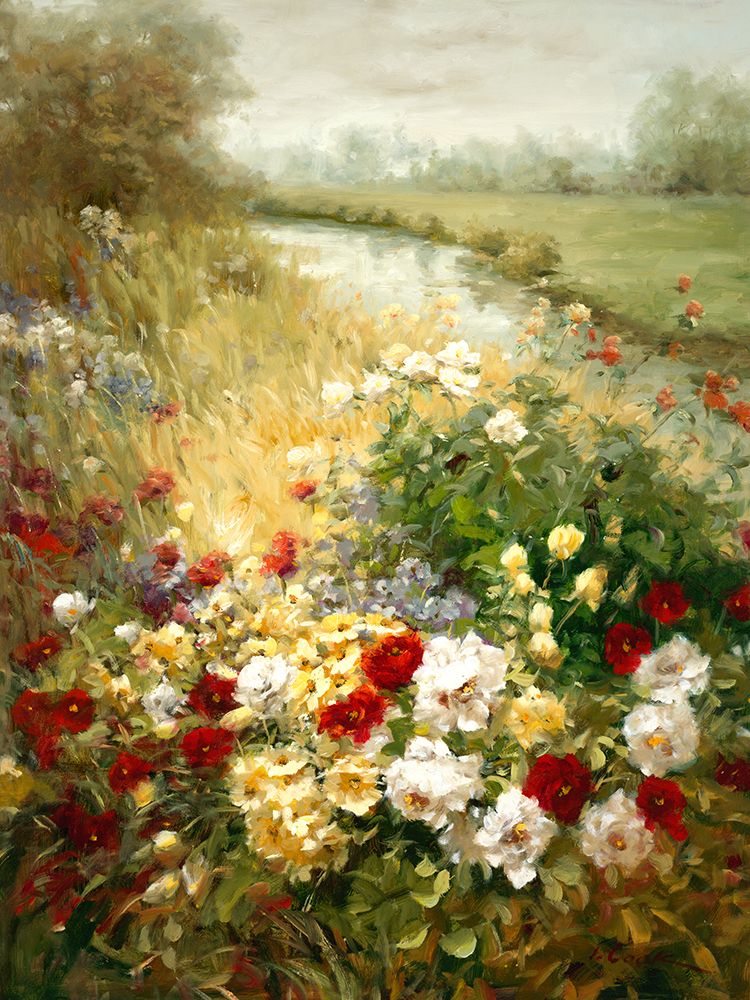 Wild Roses — Cook, Ian