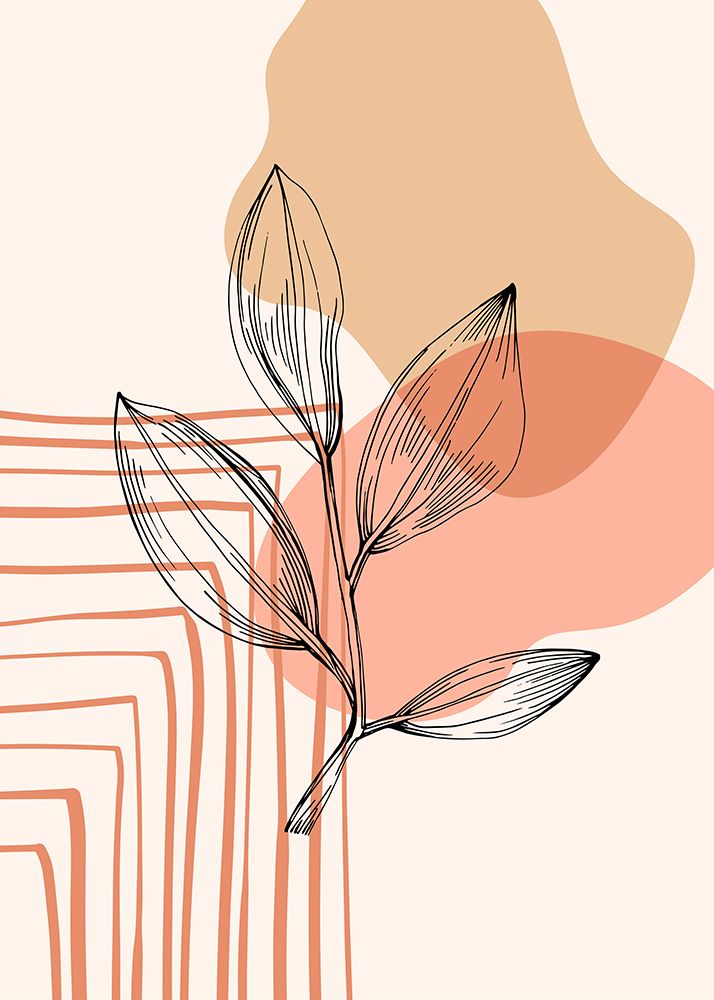 Plantas de Jojoba I — AcantStudio