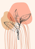 Plantas de Jojoba II — AcantStudio