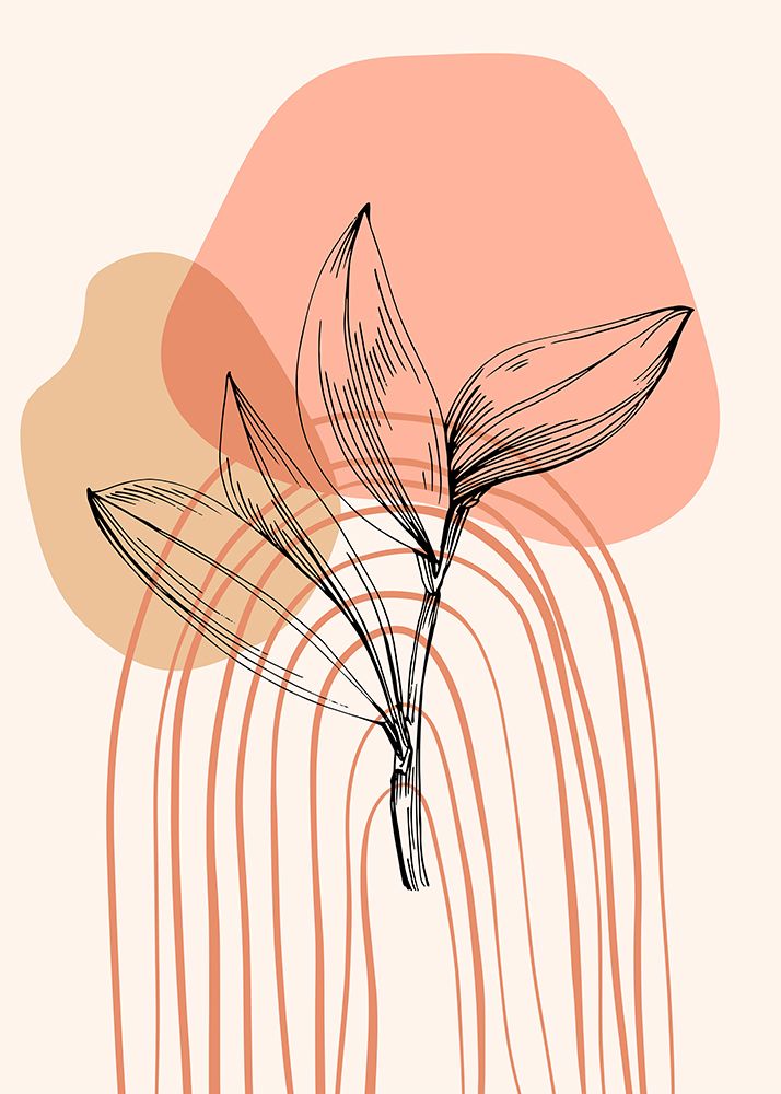 Plantas de Jojoba II — AcantStudio