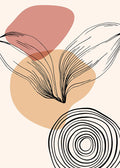 Plantas de Jojoba III — AcantStudio